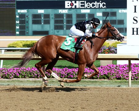 Indiana-bred Classic Kitten gets her first win Sept. 19 at Horseshoe Indianapolis