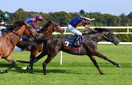 Auguste Rodin Bounces Back in Irish Champion - BloodHorse