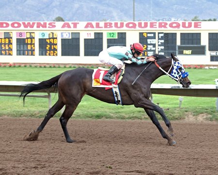 Racing at The Downs at Albuquerque