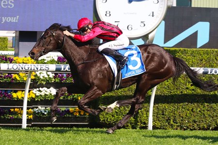 Tropical Squall wins Flight Stakes at Randwick Racecourse