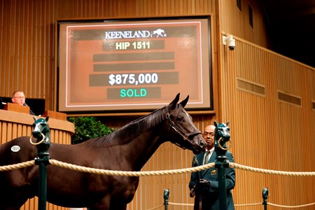A yearlings sells at the 2023 Keeneland September Yearling Sale