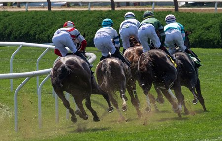 Turf racing shows the lowest fatality rate at 0.87 per 1,000 starts in 2025