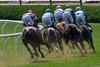 The field heads in to the Clubhouse turn in the 65th running of the Bernard Baruch Stake at the Saratoga Race Course Monday Sept. 4,  2023 in Saratoga Springs, N.Y. Photo  by Skip Dickstein