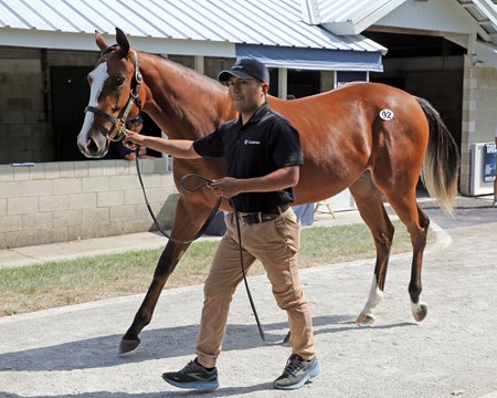 The Day 1 session-topping Into Mischief filly, consigned as Hip 92 in the Keeneland September Yearling Sale