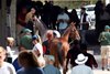 Scenics 2023 Keeneland September Yearling Sale