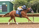 Soloshot wins the Lady Finger Stakes on Monday, September 25, 2023 at Finger Lakes
