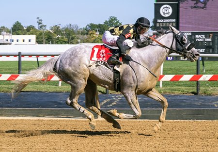 Dollarization wins the Lite the Fuse Stakes at Pimlico Race Course