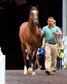 The Keeneland September Yearling Sale session 2-topping son of Into Mischief leaves the sales pavilion after realizing $3 million.