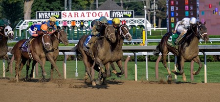 Nutella Fella - Horse Profile - BloodHorse