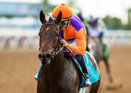 Tamara and jockey Mike Smith win the 2023 Del Mar Debutante Stakes at Del Mar