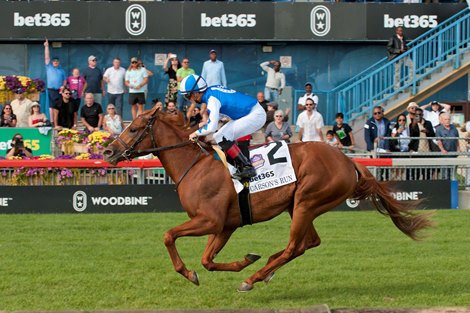 🏇 bet365 6 Horses Challenge