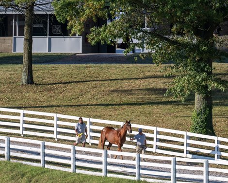 Prospective Pinhooks: Book 2 Keeneland September Sale