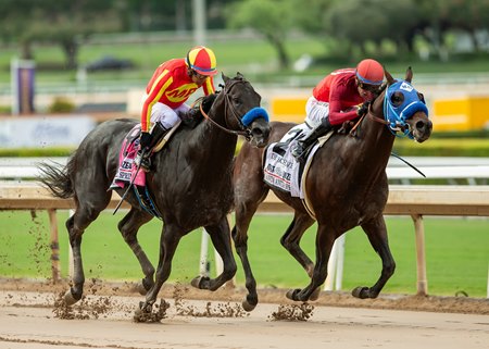 Dr. Schivel (right) gets a head in front of Speed Boat Beach to win the Santa Anita Sprint Championship at Santa Anita Park