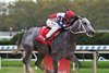 Cara&#39;s Time wins the Joseph A. Gimma Stakes on Sunday, September 24, 2023 at Belmont at the Big A