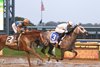 Saudi Crown #3 with Florent Geroux riding won the $1,000,000 Grade 1 Pennsylvania Derby at Parx Racing in Bensalem, Pennsylvania on September 23, 2023. Photo By Bill Denver/EQUI-PHOTO