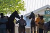 scene in outside show ring
Keeneland sales scenes on Sept. 20, 2023.  






