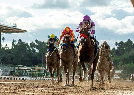 Slow Down Andy wins the 2023 Awesome Again Stakes (run this year as the California Crown Stakes) at Santa Anita Park