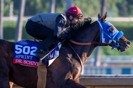 Dr. Schivel trains Oct. 29 at Santa Anita Park