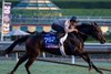 Tamara with Mike Smith
Training at Santa Anita Park as horses prepare for the Breeders’ Cup on Oct. 28, 2023.  





