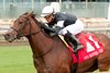 Jockey Javier Castellano guides Fev Rover to victory in the $750,000 E. P. Taylor Stakes for owner Tracy Farmer and trainer Mark Casse