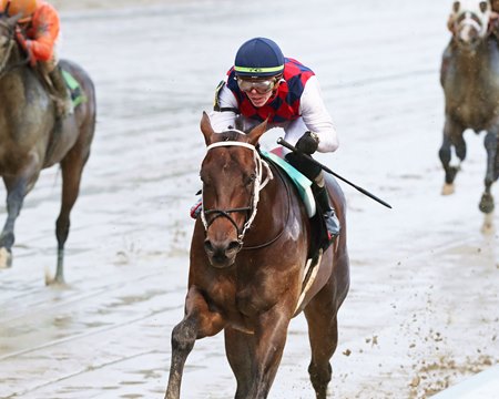 Otto the Conqueror romps over Honor Marie in an allowance optional claiming race at Churchill Downs