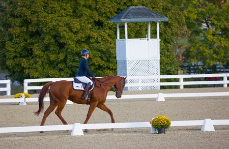 A horse and rider compete during the 2023 Thoroughbred Makeover