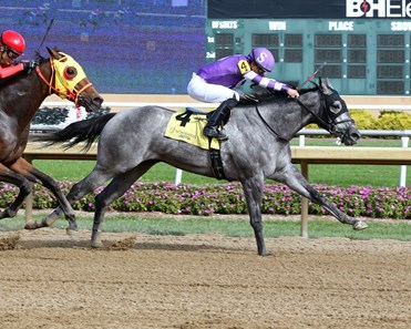 Butch's Best - Horse Profile - BloodHorse