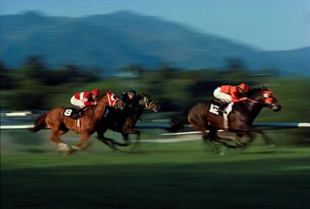 An image of racing at Santa Anita Park by Katey Barrett from the Keeneland Library Barrett Collection