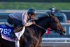 Tamara with Mike Smith up
Training at Santa Anita Park as horses prepare for the Breeders’ Cup on Oct. 28, 2023.  





