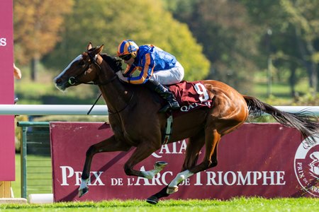 Opera Singer wins the Prix Marcel Boussac at ParisLongchamp