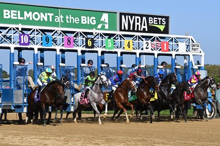 Racing at the Aqueduct Racetrack