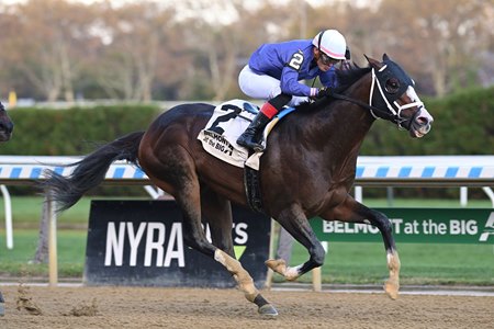 Everso Mischievous wins the Forty Niner Stakes at Aqueduct Racetrack
