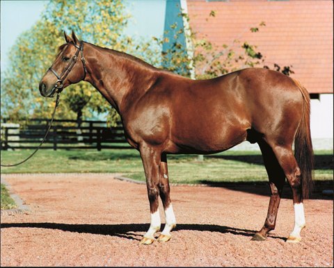 Serena's Song (horse) - American Classic Pedigrees