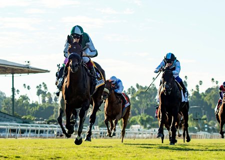 Didia defeats Anisette in their only meeting in the 2023 Rodeo Drive Stakes at Santa Anita Park