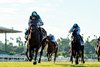 Merribelle Stable’s Didia and jockey Vincent Cheminaud win the Grade II $300,000 Rodeo Drive Stakes Saturday October 7, 2023 at Santa Anita Park, Arcadia, CA.    
Benoit Photo