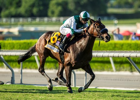 Didia Earns BC Filly & Mare Turf Spot in Rodeo Drive - BloodHorse