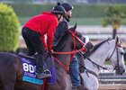 Grand Mo The first on the track as preparations continue for the 40th Breeders’ Cup to be held  at Santa Anita Race Track Sunday Oct. 29, 2023 in Arcadia, California.  Photo by Skip Dickstein