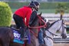 Grand Mo The first on the track as preparations continue for the 40th Breeders’ Cup to be held  at Santa Anita Race Track Sunday Oct. 29, 2023 in Arcadia, California.  Photo by Skip Dickstein