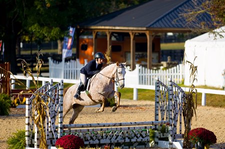 Competition at the 2023 Thoroughbred Makeover