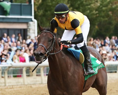 Meet the Contenders: Kentucky Jockey Club