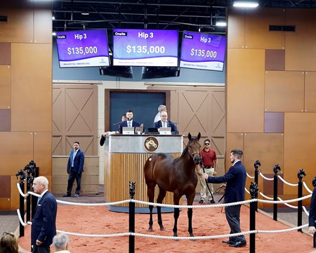 The Classic Empire colt consigned as Hip 3 in the ring at the F-T Midlantic Fall Yearling Sale