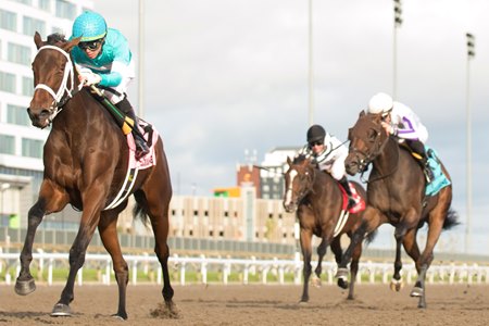Filly Tripolina wins the Display Stakes against colts and geldings at Woodbine
