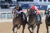Ninetyprcentmaddie wins the Carle Place Stakes on Sunday, October 22, 2023 at Belmont at the Big A