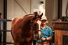 2023 Inglis Ready2Race Sale, Lot 35
