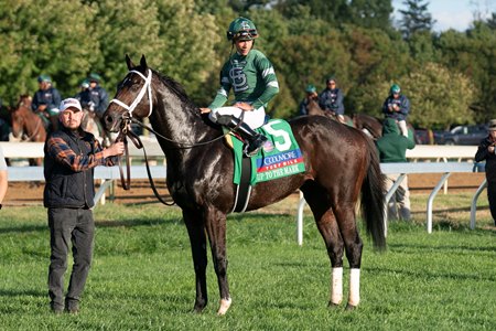 Up to the Mark after his victory in the Turf Mile Stakes at Keeneland
