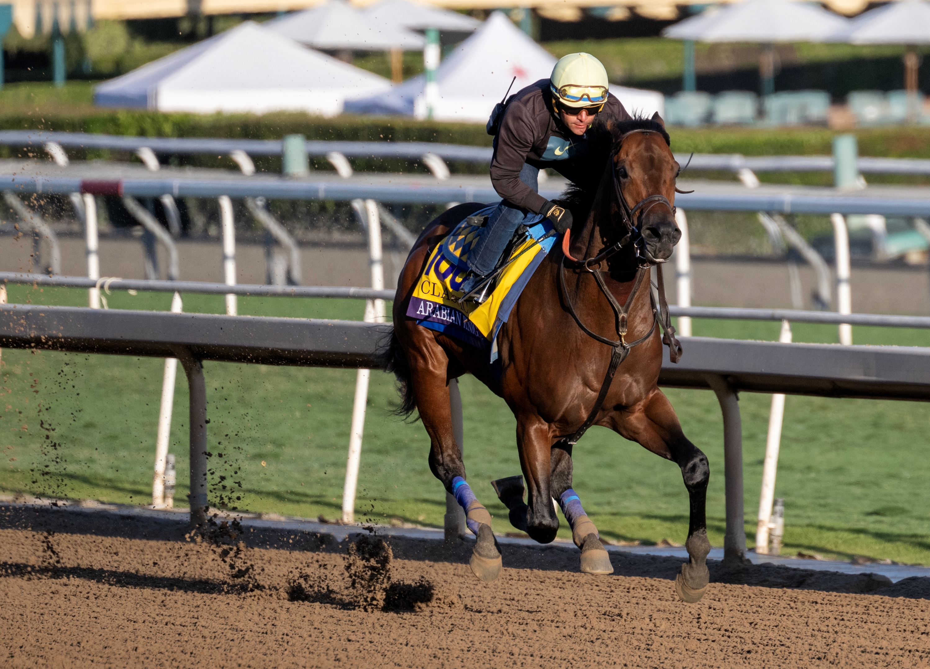 Arabian Knight Favored in 40th Breeders Cup Classic BloodHorse