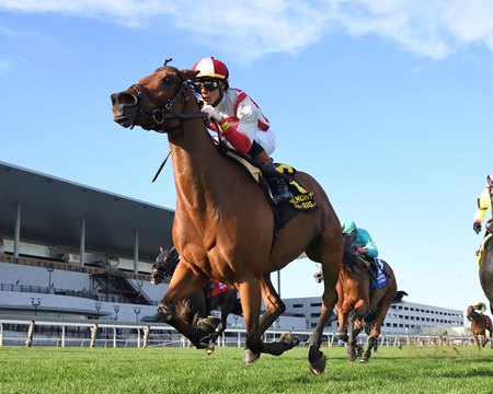 Technical Analysis wins the Athenia Stakes at Aqueduct