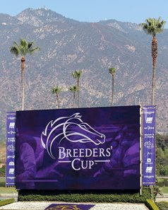 Santa Anita Park, one of 1/ST Content's racetracks, is hosting the Nov. 3-4 Breeders' Cup World Championships