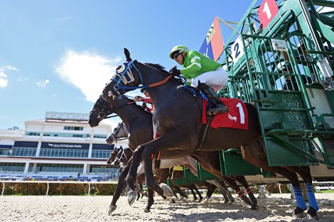 Racing Set to Resume June 16 at Gulfstream After Storms - BloodHorse