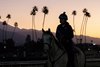 Horses come to the track as preparations continue for the 40th Breeders’ Cup to be held  at Santa Anita Race Track Sunday Oct. 29, 2023 in Arcadia, California.  Photo by Skip Dickstein